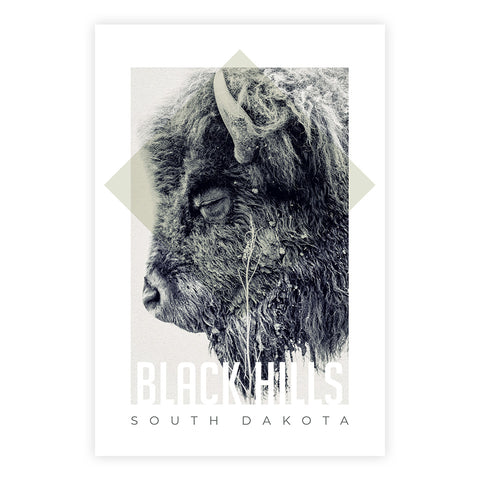 Bison Postcard