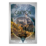 Spearfish Canyon Postcard