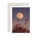 Yucca Moon NoteCard