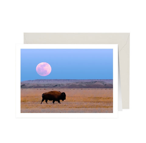 Moon Over Buffalo NoteCard