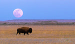 Moon over Buffalo